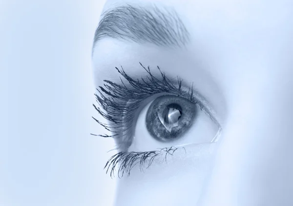 Beautiful eye closeup — Stock Photo, Image