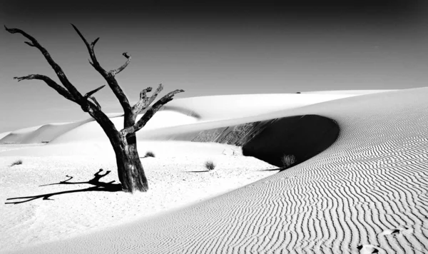Białe piaski — Zdjęcie stockowe