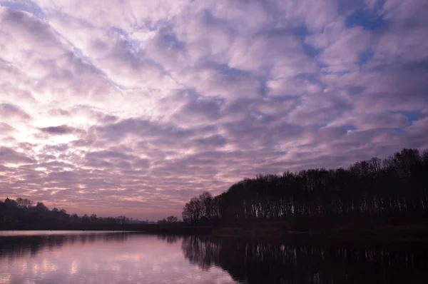 stock image Golden sunset over the lake.