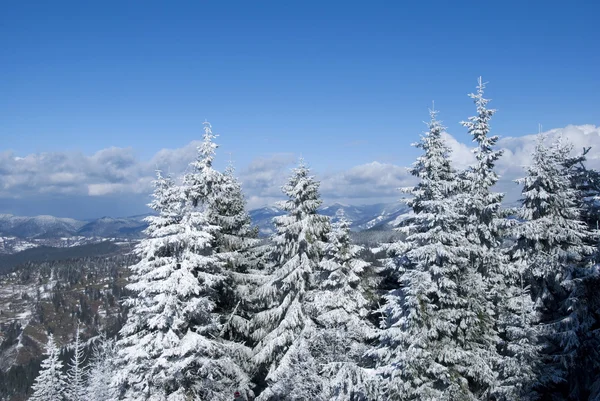 山の中の冬 — ストック写真