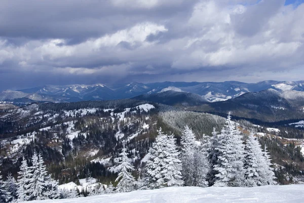 stock image Winter in the mountains