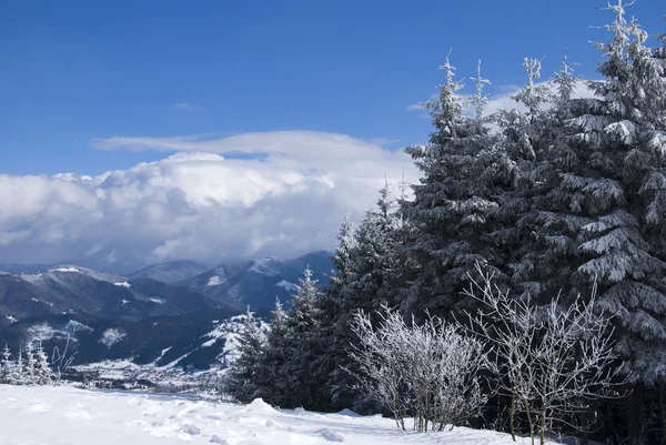 山の中の冬 — ストック写真