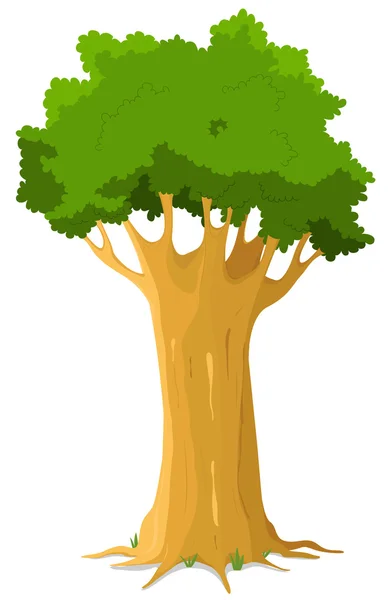 Дубовое дерево — стоковый вектор