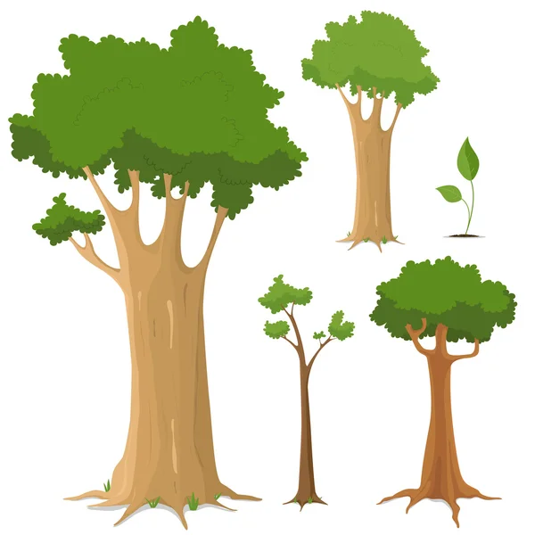 Collection d'arbres — Image vectorielle