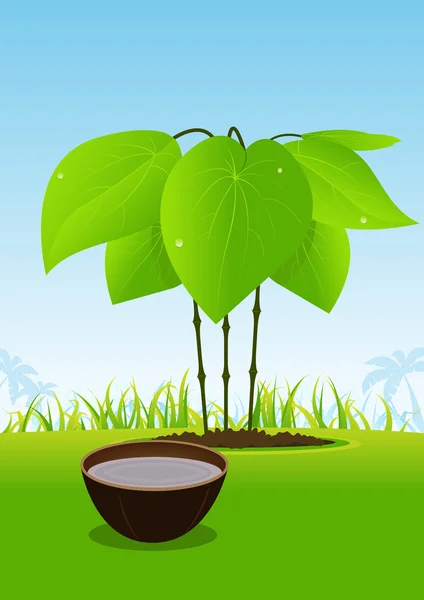 Kavapflanze und ihr Saft, serviert in einer Holzschale — Stockvektor
