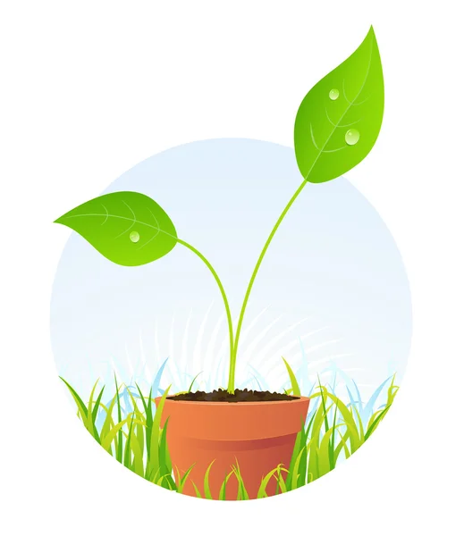 鍋に春の植物の種子 — ストックベクタ