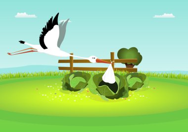 Stork Delivering Baby In Cabbage clipart