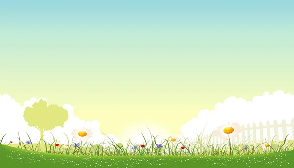 Jarní a letní květy na šířku — Stockový vektor