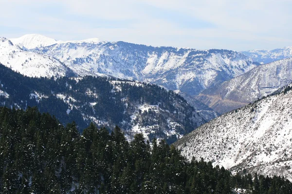 stock image Mountain