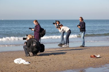 bir plajda beş fotoğrafçılar
