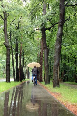 Man on bicycle in the rain with umbrella clipart