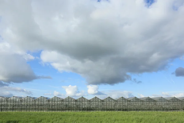 Greenhouses onder cloudy sky — Stock Photo, Image