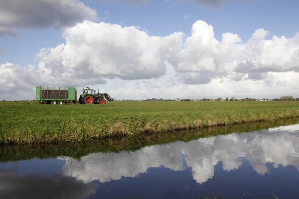 Tractor en pradera y nubes reflejadas en canal — Foto de Stock