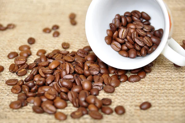 Stock image Coffee