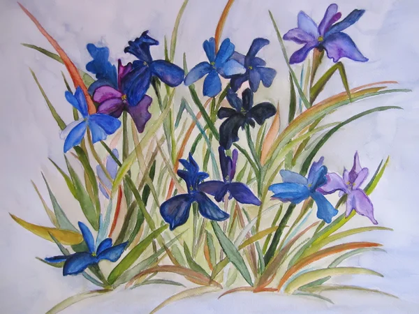 stock image Painting of iris, blue flowers. Картина синие ирисы в саду