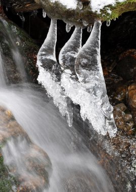 Kış creek