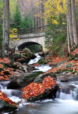 Autumn creek clipart