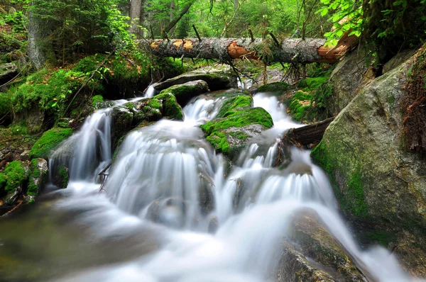 Cachoeira na República Checa — Fotografia de Stock