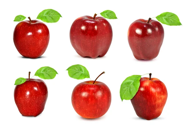 Recogida de manzanas rojas — Foto de Stock