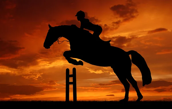 Reiter auf einem springenden Pferd — Stockfoto