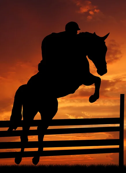 Cavaliere su un cavallo che salta — Foto Stock