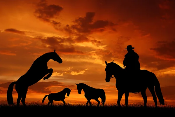 Silhouette Cowboy mit Pferd — Stockfoto