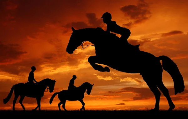 Jinete en un caballo saltando — Foto de Stock