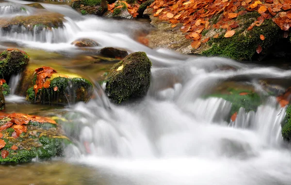 Herfst creek — Stockfoto