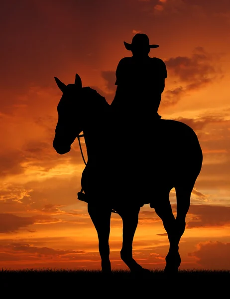 Siluet kovboy atı ile — Stok fotoğraf