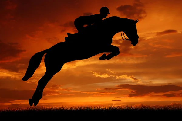 Rider on a jumping horse — Stock Photo, Image