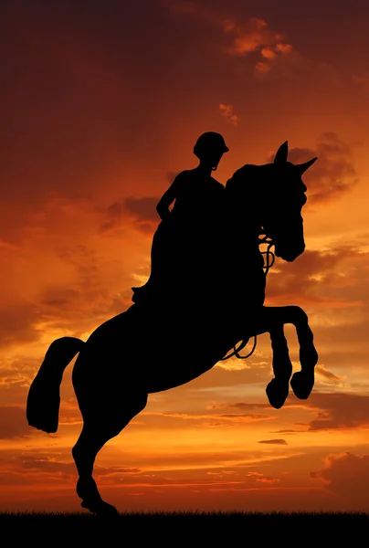 Jinete en un caballo saltando — Foto de Stock