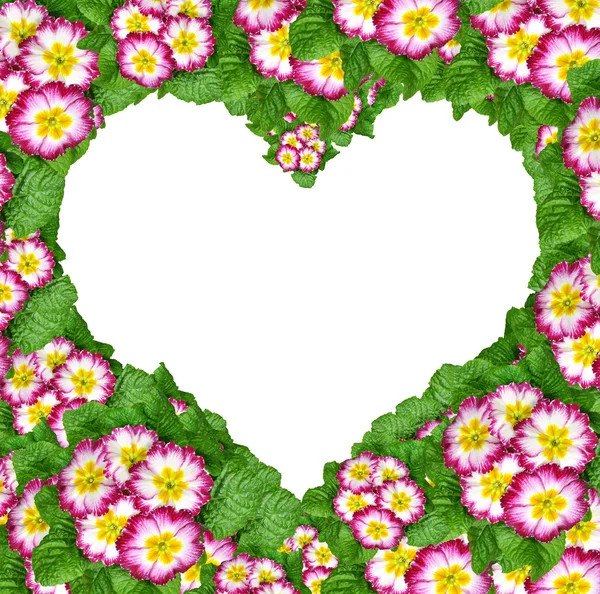 Flower heart — Stock Photo, Image
