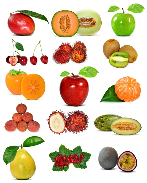 Grande raccolta di frutta — Foto Stock