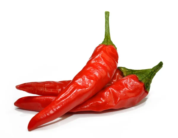 Czerwona papryka chilli — Zdjęcie stockowe