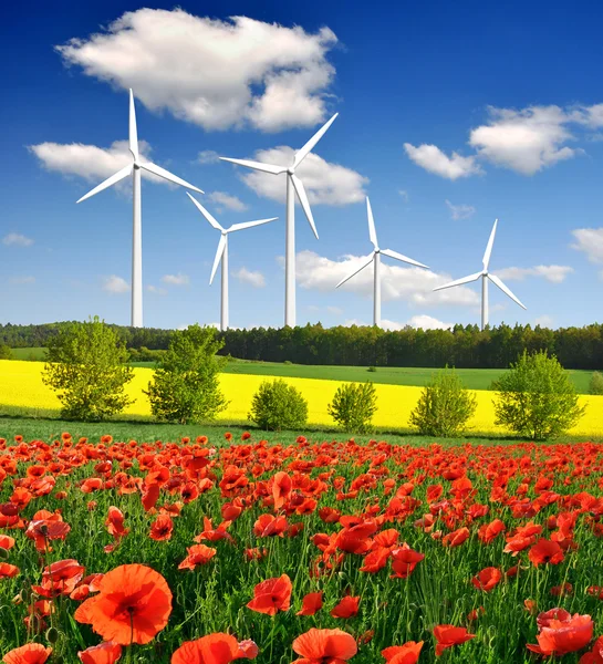 Red poppy field with wind turbine — Stock Photo, Image