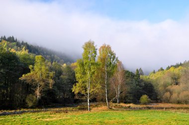 National Park Sumava - Czech Republic clipart