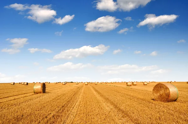 Straw bales on farmland — Stock Photo, Image