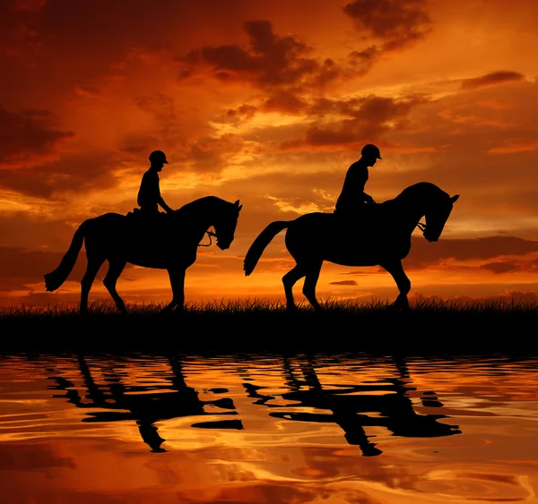Cavaleiros em um cavalo — Fotografia de Stock
