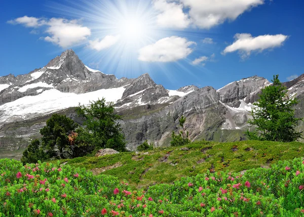 Zinalrothorn - Zwitserse Alpen — Stockfoto