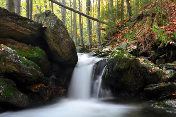 Autumn creek — Stock Photo, Image