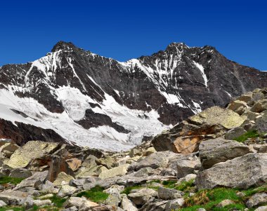 dağ dom ve taschhorn