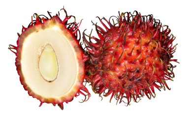 Rambutan isolated clipart