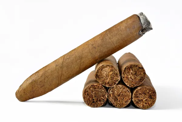 Brown cigar burned — Stock Photo, Image