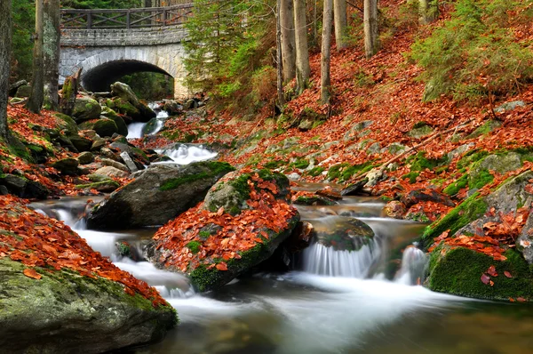 stock image Autumn creek