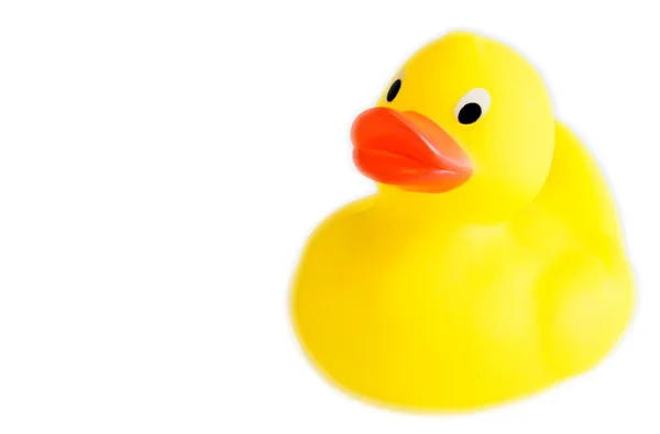 stock image Classic yellow plastic duck