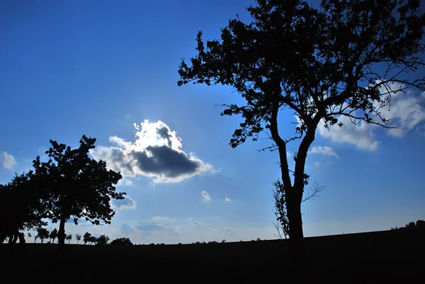 Stock image In front with sun.