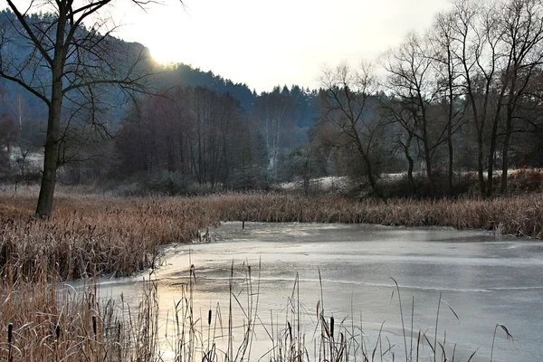 冬天的池塘 — 图库照片