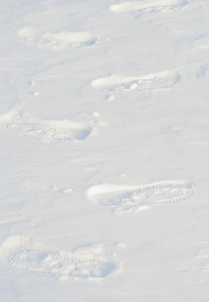 Fotavtryck i snö — Stockfoto