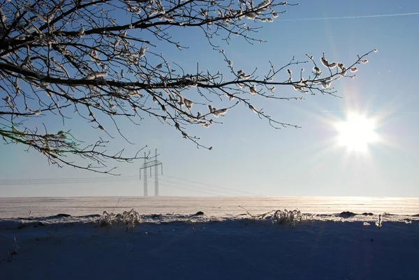冬季风光 — 图库照片