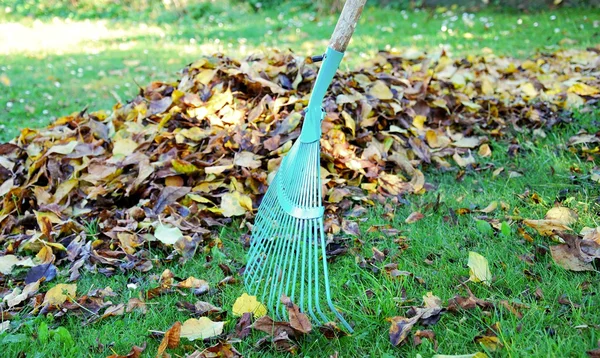 Herfst schoonmaken — Stockfoto